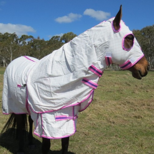 Cotton Hood Set Horse Rugs Pink|Horse Rugs | LOVE MY HORSE - Australia