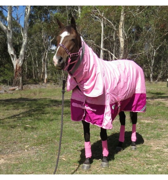 Horse wearing 600 Denier Winter Combo in pink
