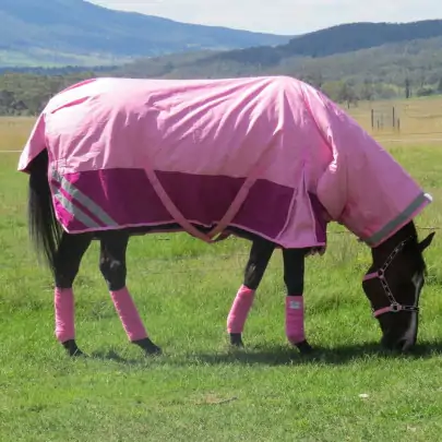 Horse wearing 600 Denier Winter Combo in pink 2