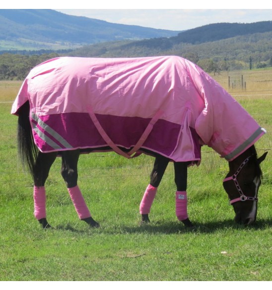 Horse wearing 600 Denier Winter Combo in pink