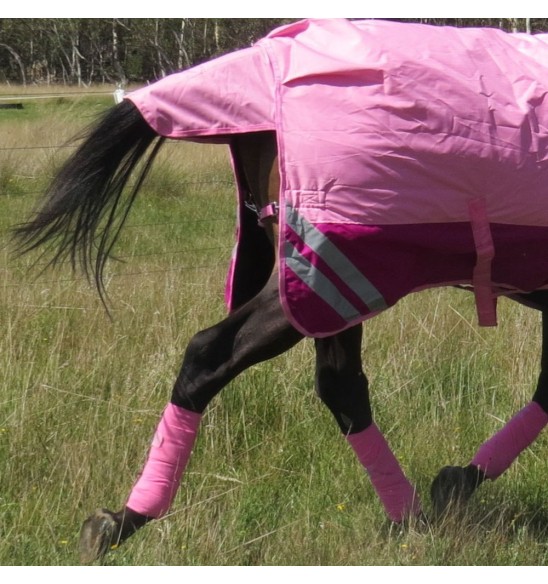 Horse wearing 600 Denier Winter Combo in pink