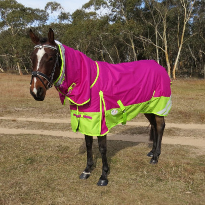 600D Winter 180g Fill Combo Horse Rugs Pink