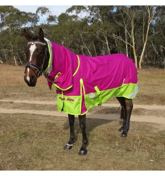 600D Winter 180g Fill Combo Horse Rugs Pink|Horse Rugs | LOVE MY HORSE - Australia