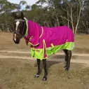 600D Winter 180g Fill Combo Horse Rugs Pink|Horse Rugs | LOVE MY HORSE - Australia