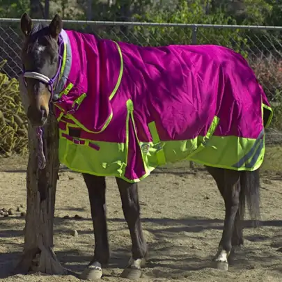 600D Winter 180g Fill Combo Horse Rugs Pink 2