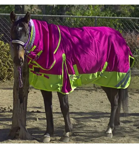 600D Winter 180g Fill Combo Horse Rugs Pink|Horse Rugs | LOVE MY HORSE - Australia