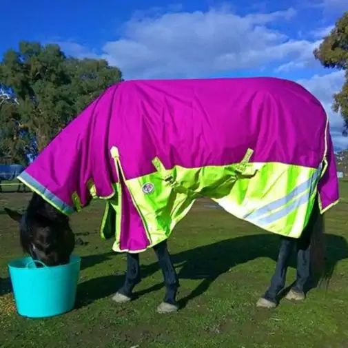 600D Winter 180g Fill Combo Horse Rugs Pink|Horse Rugs | LOVE MY HORSE - Australia