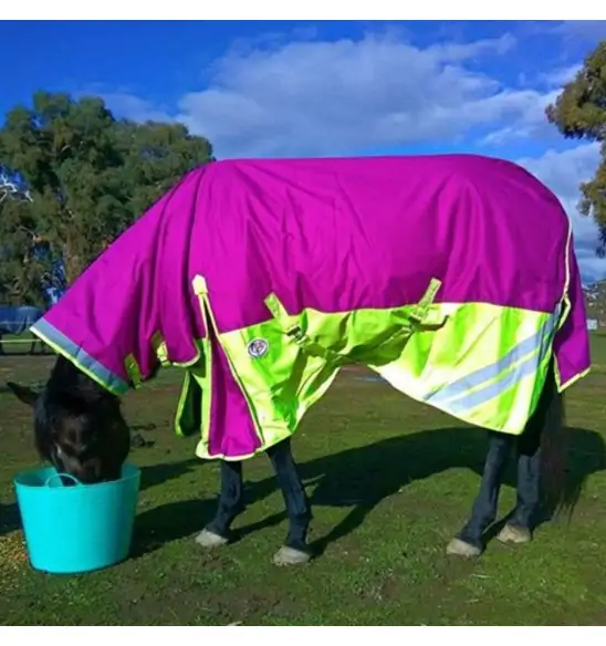 600D Winter 180g Fill Combo Horse Rugs Pink|Horse Rugs | LOVE MY HORSE - Australia