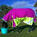 600D Winter 180g Fill Combo Horse Rugs Pink|Horse Rugs | LOVE MY HORSE - Australia
