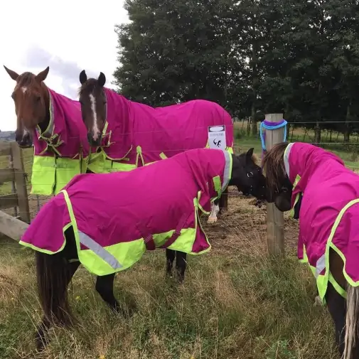 600D Winter 180g Fill Combo Horse Rugs Pink|Horse Rugs | LOVE MY HORSE - Australia