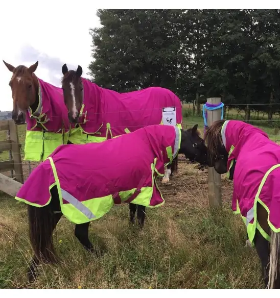 600D Winter 180g Fill Combo Horse Rugs Pink|Horse Rugs | LOVE MY HORSE - Australia