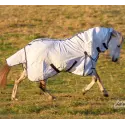 White horse wearing Love My Horse cotton combo with blue trim