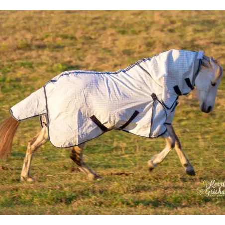 White horse wearing Love My Horse cotton combo with blue trim