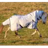 White horse wearing Love My Horse cotton combo with blue trim