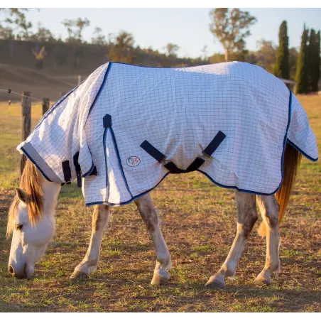 White horse wearing Love My Horse cotton combo with blue trim