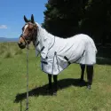 Brown horse wearing Love My Horse cotton combo with blue trim