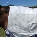 Cotton Combo Blue Horse Rugs | LOVE MY HORSE AU
