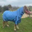 5'0 5'3 600D Rainsheet Combo Blue Horse Rugs | LOVE MY HORSE AU