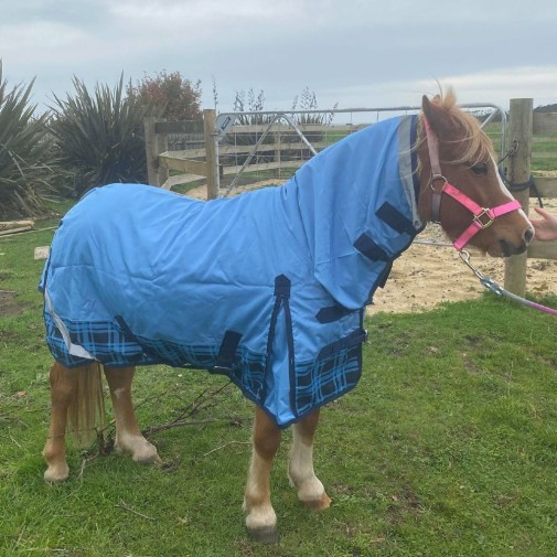 600D Rainsheet Combo Blue Horse Rugs|Horse Rugs | LOVE MY HORSE - Australia