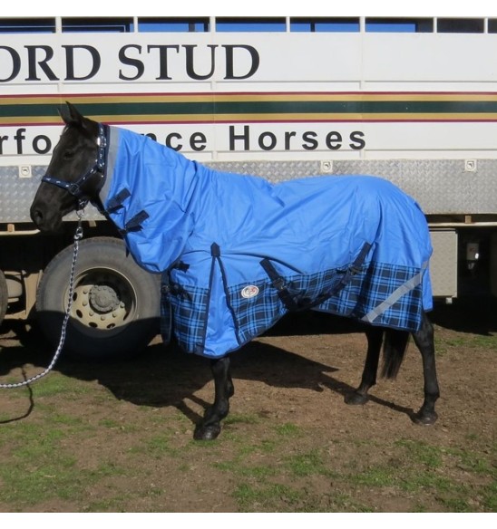 600D Rainsheet Combo Blue Horse Rugs|Horse Rugs | LOVE MY HORSE - Australia