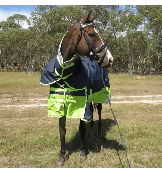 600D Winter Combo 180g Horse Rugs Lime|Horse Rugs | LOVE MY HORSE - Australia