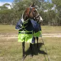 600D Winter Combo 180g Horse Rugs Lime|Horse Rugs | LOVE MY HORSE - Australia