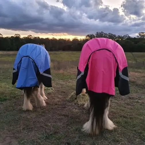 Clydesdale Winter Combo Heavy Pink Horse Rugs|Horse Rugs | LOVE MY HORSE - Australia