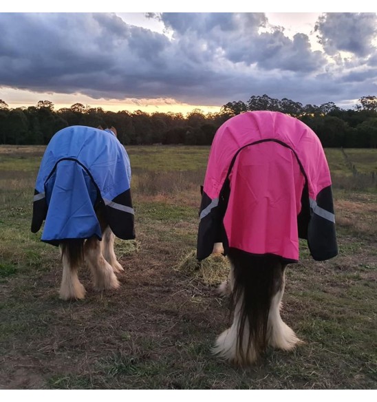 Clydesdale Winter Combo Heavy Pink Horse Rugs|Horse Rugs | LOVE MY HORSE - Australia