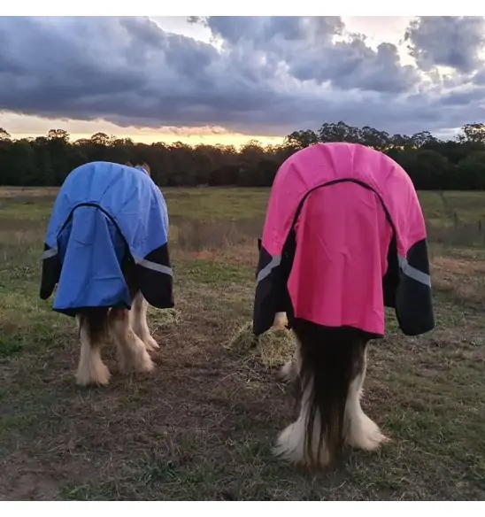 Clydesdale Winter Combo Heavy Pink Horse Rugs|Horse Rugs | LOVE MY HORSE - Australia