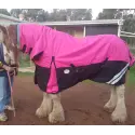 Clydesdale Winter Combo Heavy Pink Horse Rugs | LOVE MY HORSE AU