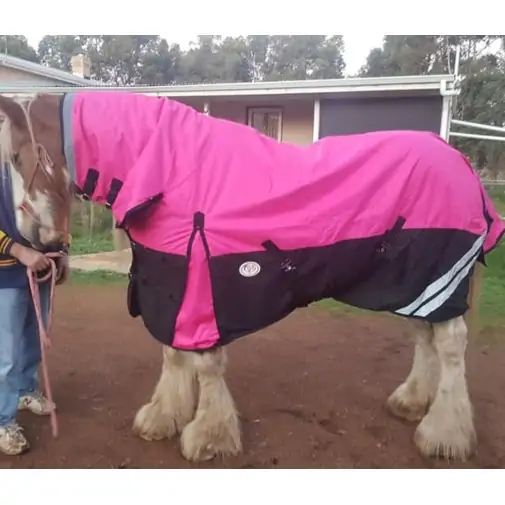 Clydesdale Winter Combo Heavy Pink Horse Rugs|Horse Rugs | LOVE MY HORSE - Australia