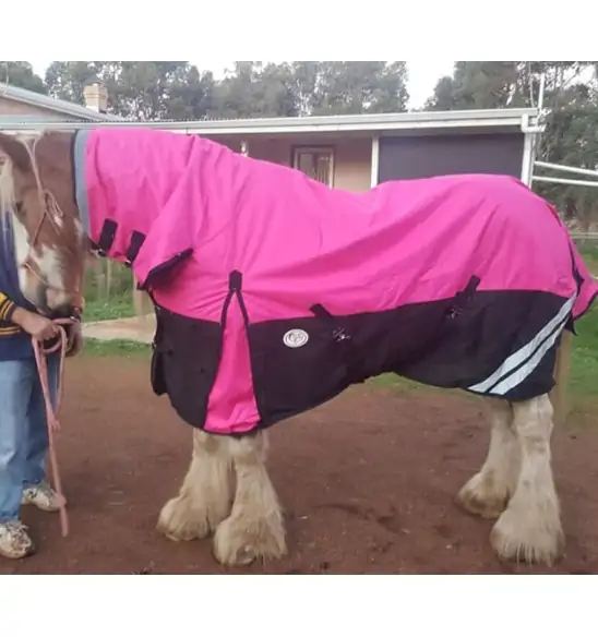Clydesdale Winter Combo Heavy Pink Horse Rugs|Horse Rugs | LOVE MY HORSE - Australia