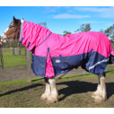 Clydesdale Winter Combo Heavy Pink Horse Rugs|Horse Rugs | LOVE MY HORSE - Australia