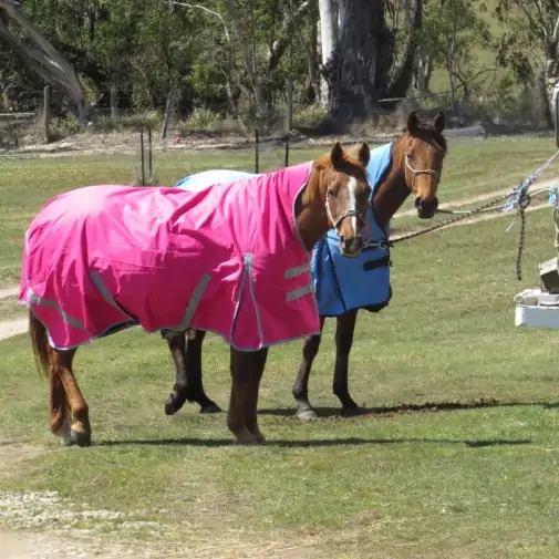 Winter High Wither Wug Horse Rugs | Pink|Horse Rugs | LOVE MY HORSE - Australia