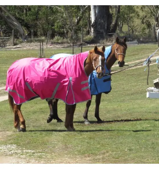 Winter High Wither Wug Horse Rugs | Pink|Horse Rugs | LOVE MY HORSE - Australia