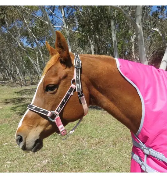 Winter High Wither Wug Horse Rugs | Pink|Horse Rugs | LOVE MY HORSE - Australia