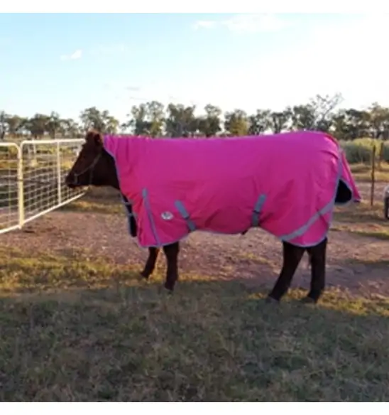 Winter High Wither Wug Horse Rugs | Pink|Horse Rugs | LOVE MY HORSE - Australia