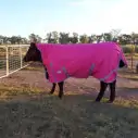 Winter High Wither Wug Horse Rugs | Pink|Horse Rugs | LOVE MY HORSE - Australia