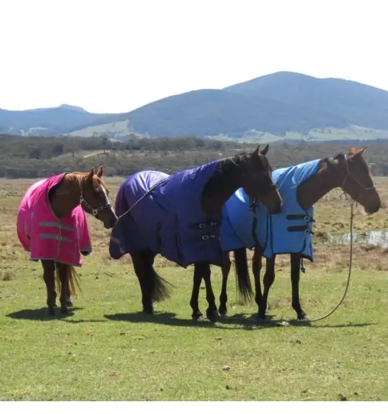 Winter High Wither Wug Horse Rugs | Pink|Horse Rugs | LOVE MY HORSE - Australia