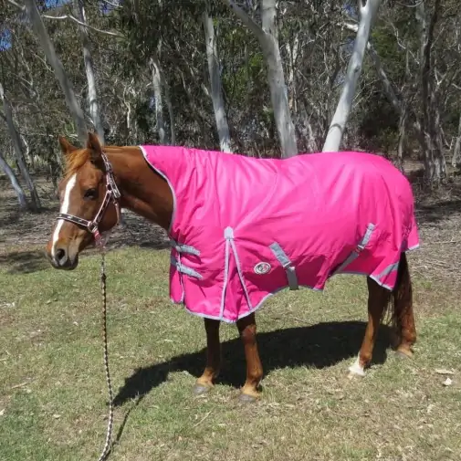 Winter High Wither Wug Horse Rugs | Pink|Horse Rugs | LOVE MY HORSE - Australia