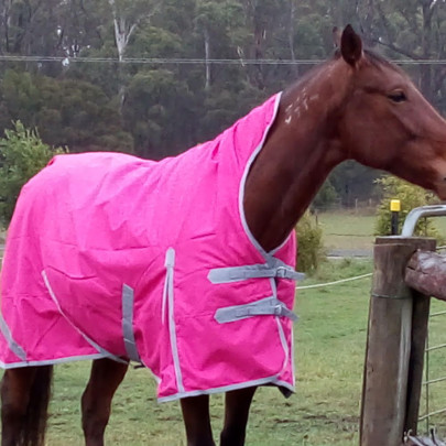 Winter High Wither Wug Horse Rugs | Cow Rugs Pink