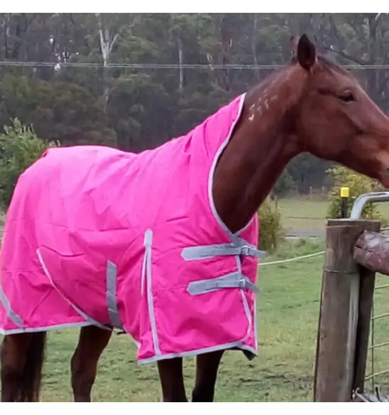 Winter High Wither Wug Horse Rugs | Pink|Horse Rugs | LOVE MY HORSE - Australia
