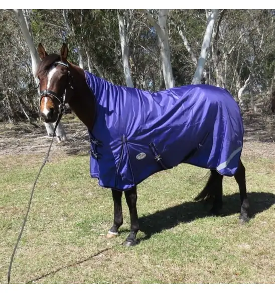 horse wearing Love My Horse purple high wither wug