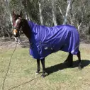 horse wearing Love My Horse purple high wither wug