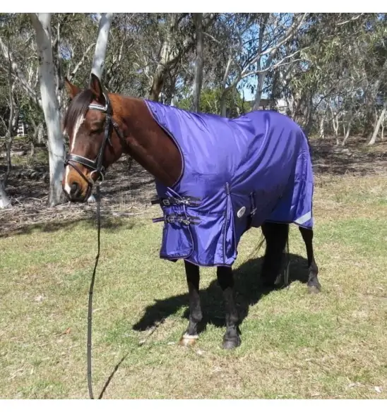 horse wearing Love My Horse purple high wither wug