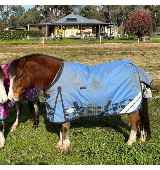 600D Winter 180g Horse Rugs Blue|Horse Rugs | LOVE MY HORSE - Australia