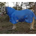 Miniature Soft Mesh Combo Horse Rugs Blue  | LOVE MY HORSE AU
