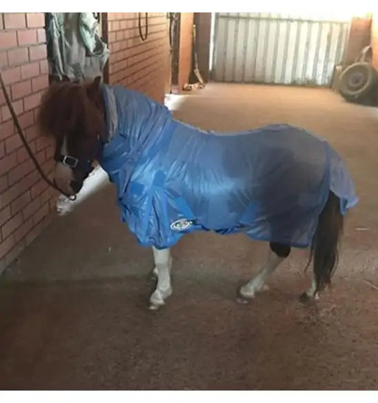 Miniature Soft Mesh Combo Horse Rugs Blue|Horse Rugs | LOVE MY HORSE - Australia