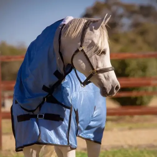 Miniature Soft Mesh Combo Horse Rugs Blue|Horse Rugs | LOVE MY HORSE - Australia