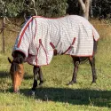 Horse wearing a Rug Red / Black poly cotton combo horse rug